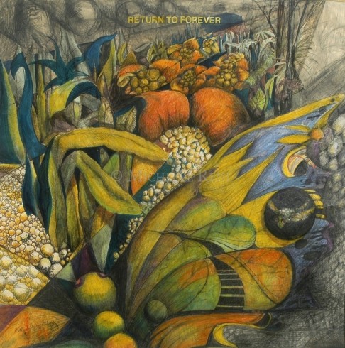 The View of the Butterfly